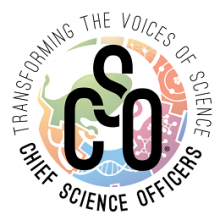 CSO Logo